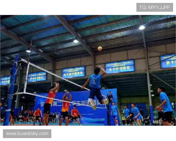 杭州排球队在邀请赛中的状态表现分析与未来展望